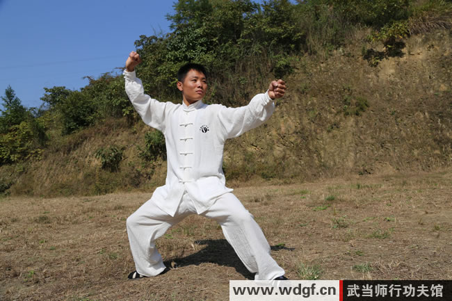 剑侠情缘手游武当-武当派评测大揭秘！技能对比谁更强？