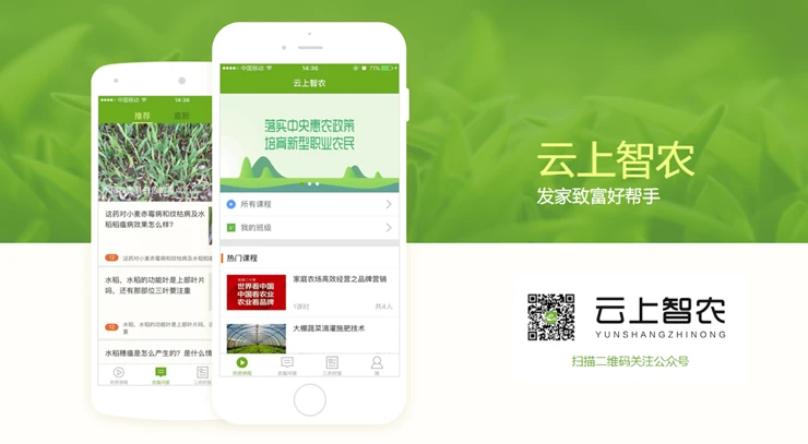 智力问答小程序_智力问答软件_问答智力软件哪个好