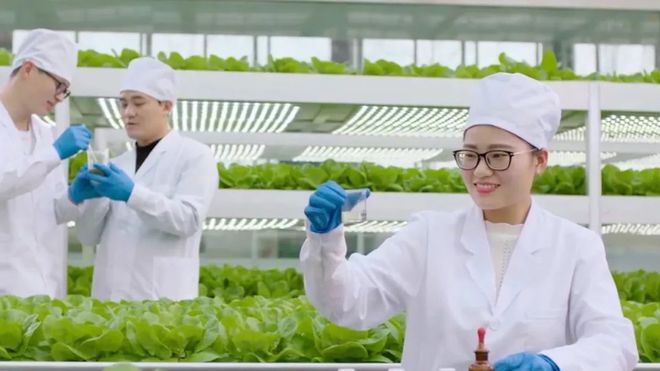 波多黎各游戏攻略_波多黎各桌游开局主要拿什么_波多黎各+桌游+攻略