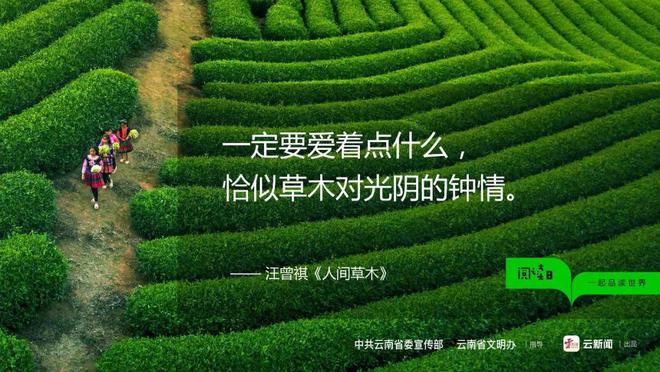 打字游戏实验心得_912101500310 打字游戏 课程设计报告_打字游戏实验报告