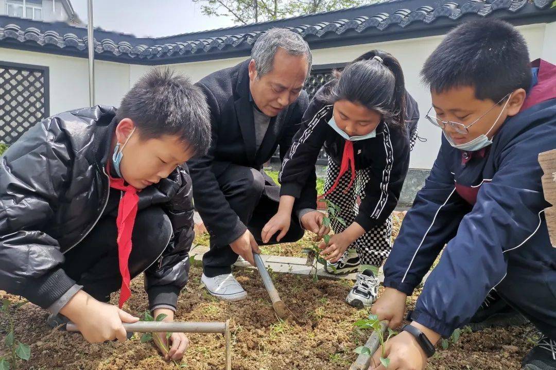 田间一条龙游戏规则_拓展游戏田间一条龙_拓展训练田间一条龙
