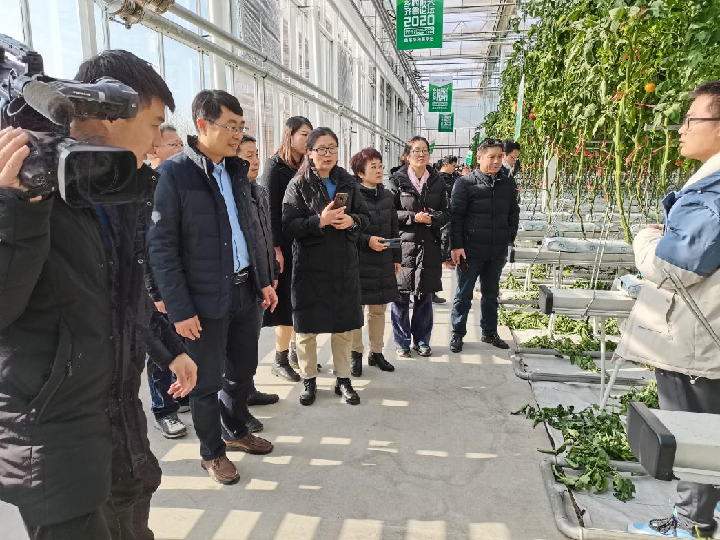 拓展游戏田间一条龙_拓展训练田间一条龙_田间一条龙游戏规则