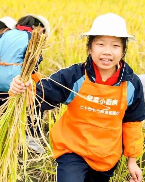 游戏制作培训要多少钱_游戏制作培训最好学校_培训学校小游戏