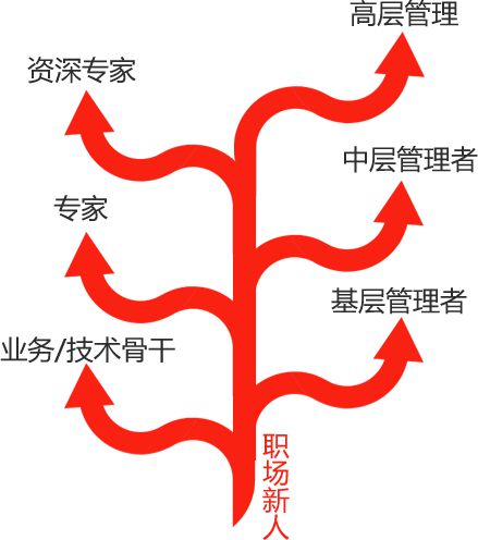 北塔软件_北塔软件价格_北塔软件公司