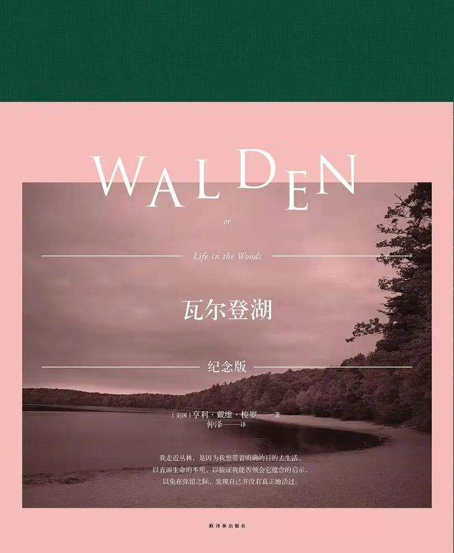 寂静岭游戏全剧情_详解剧情寂静岭游戏视频_寂静岭4游戏剧情详解