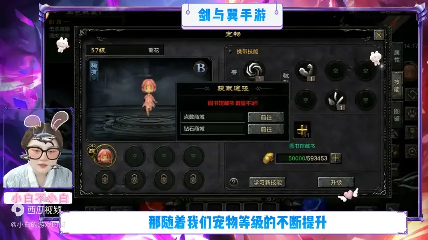 火影手游装备进阶顺序分享，提升主力战斗力的关键步骤