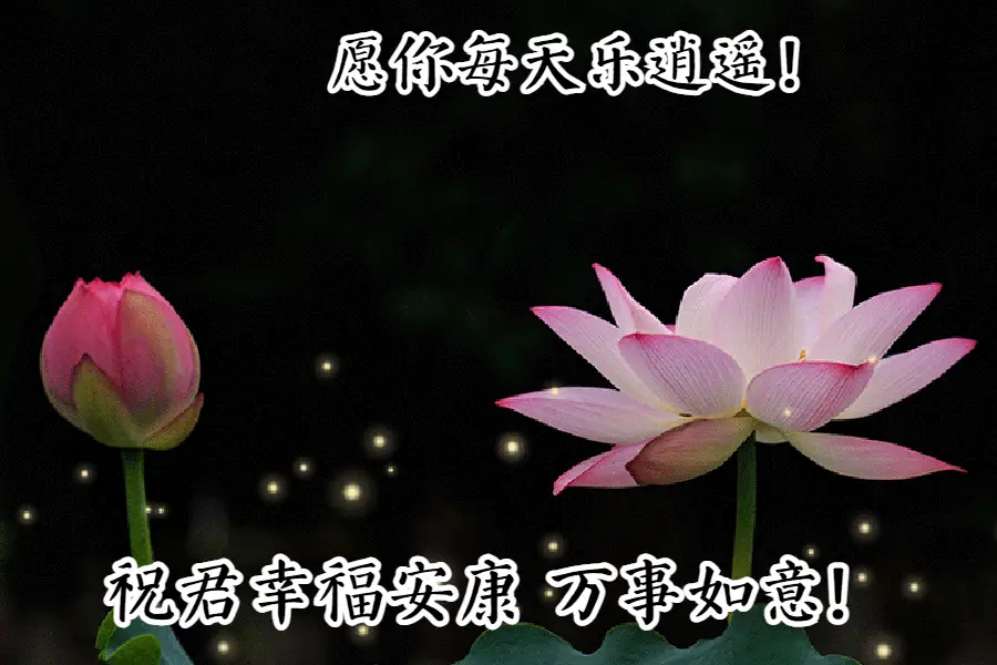 祝福词语接龙游戏_新年祝福语接龙游戏_词语接龙祝福语