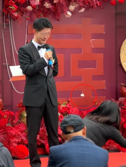 呵呵鱼工作室的游戏-呵呵鱼工作室游戏：温馨有趣，细节用心，让