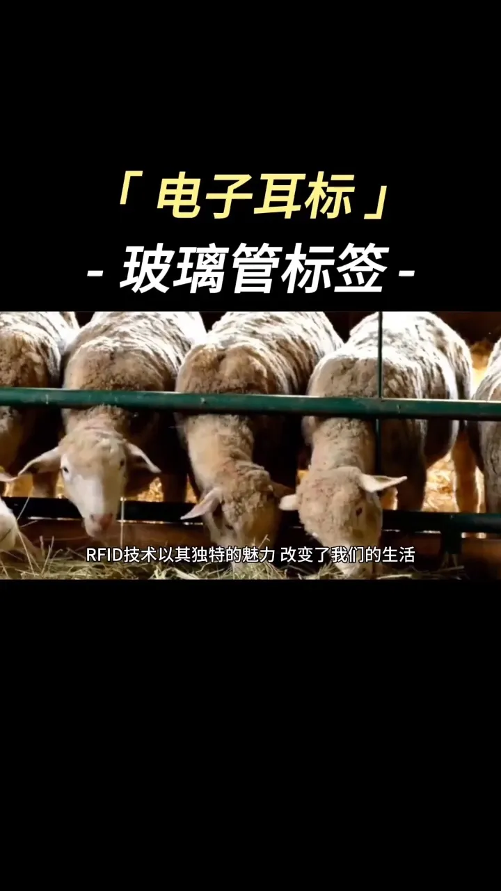 精睿id_精睿论坛eset_精睿软件