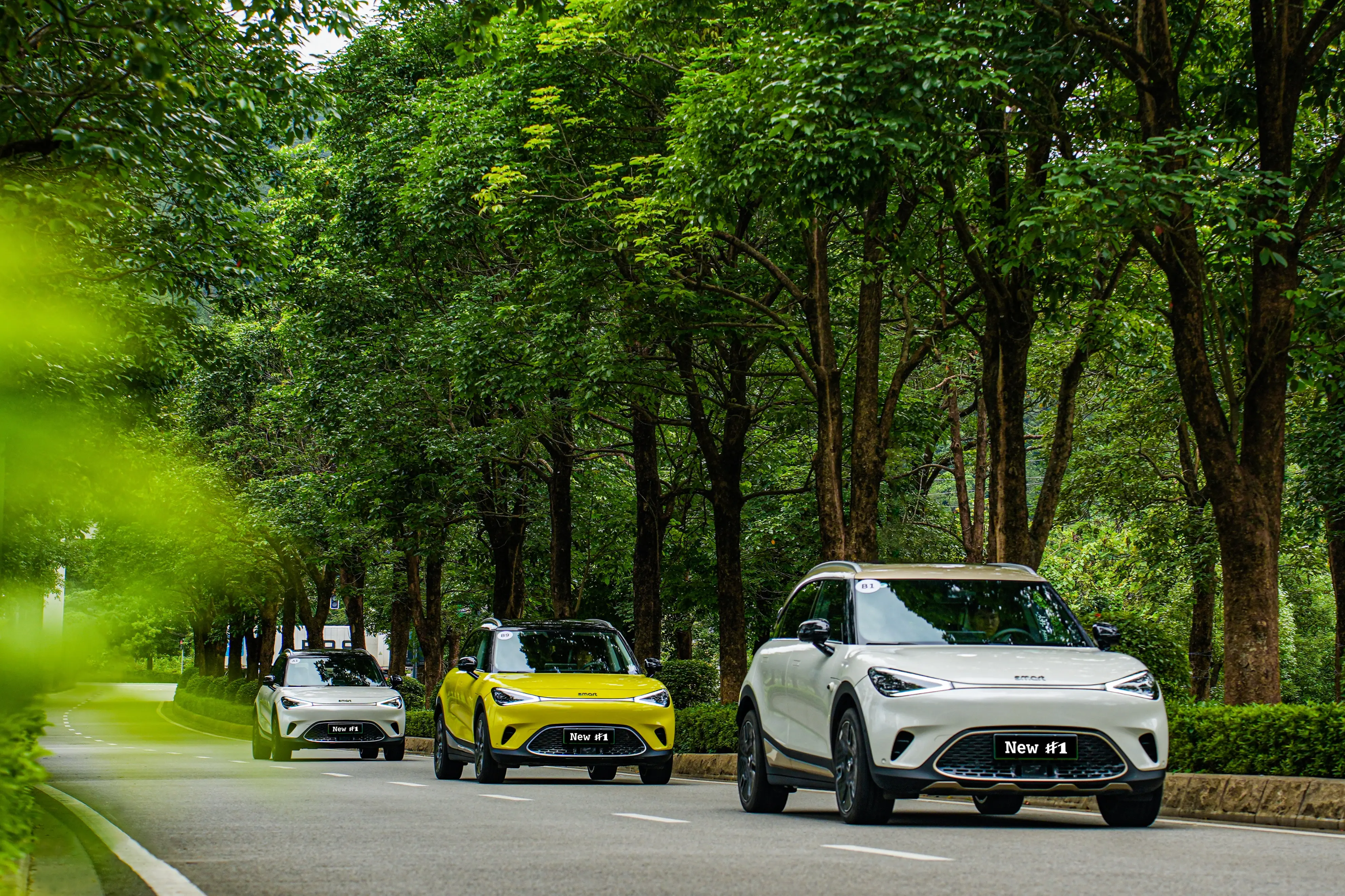 动漫全彩福利h本子_动漫本子福利吧lm0_动漫绳艺吧本子福利