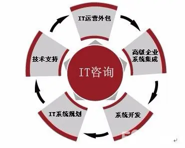 软件服务外包产业_软件外包成长服务企业是什么_软件服务外包与软件企业成长