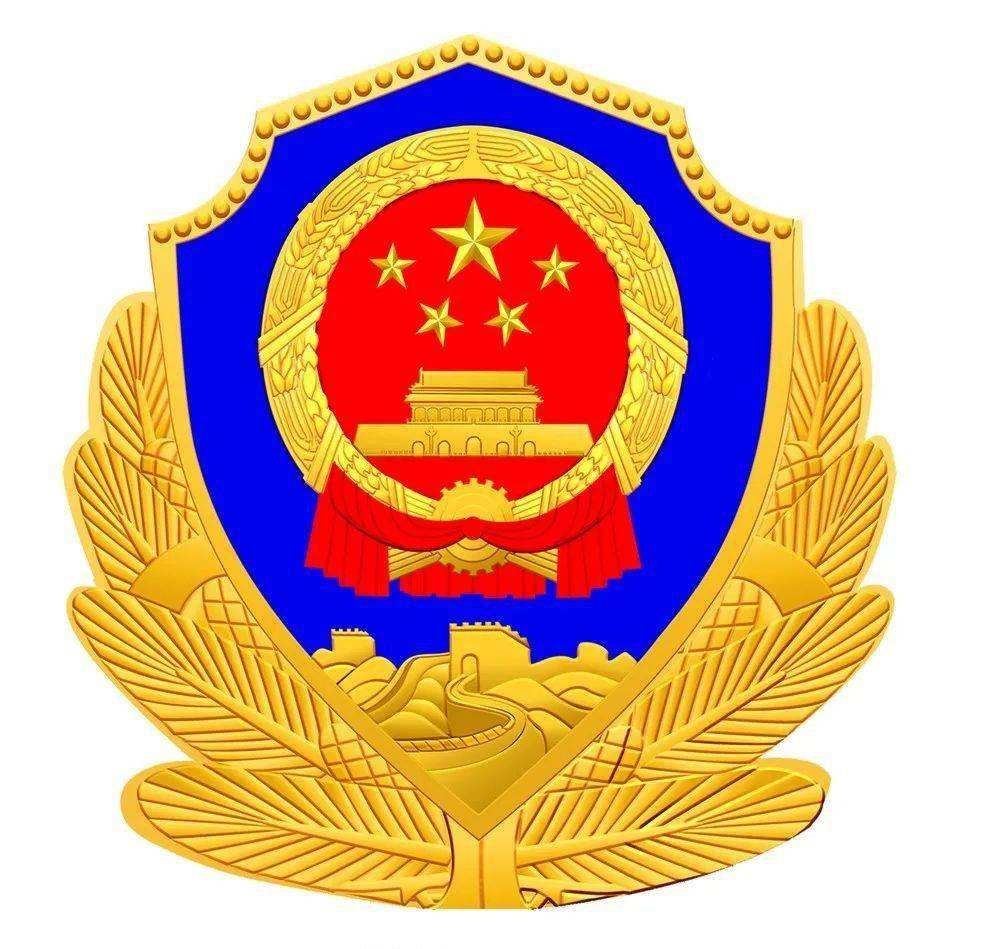 软件需要公安_公安部门软件_公安局软件