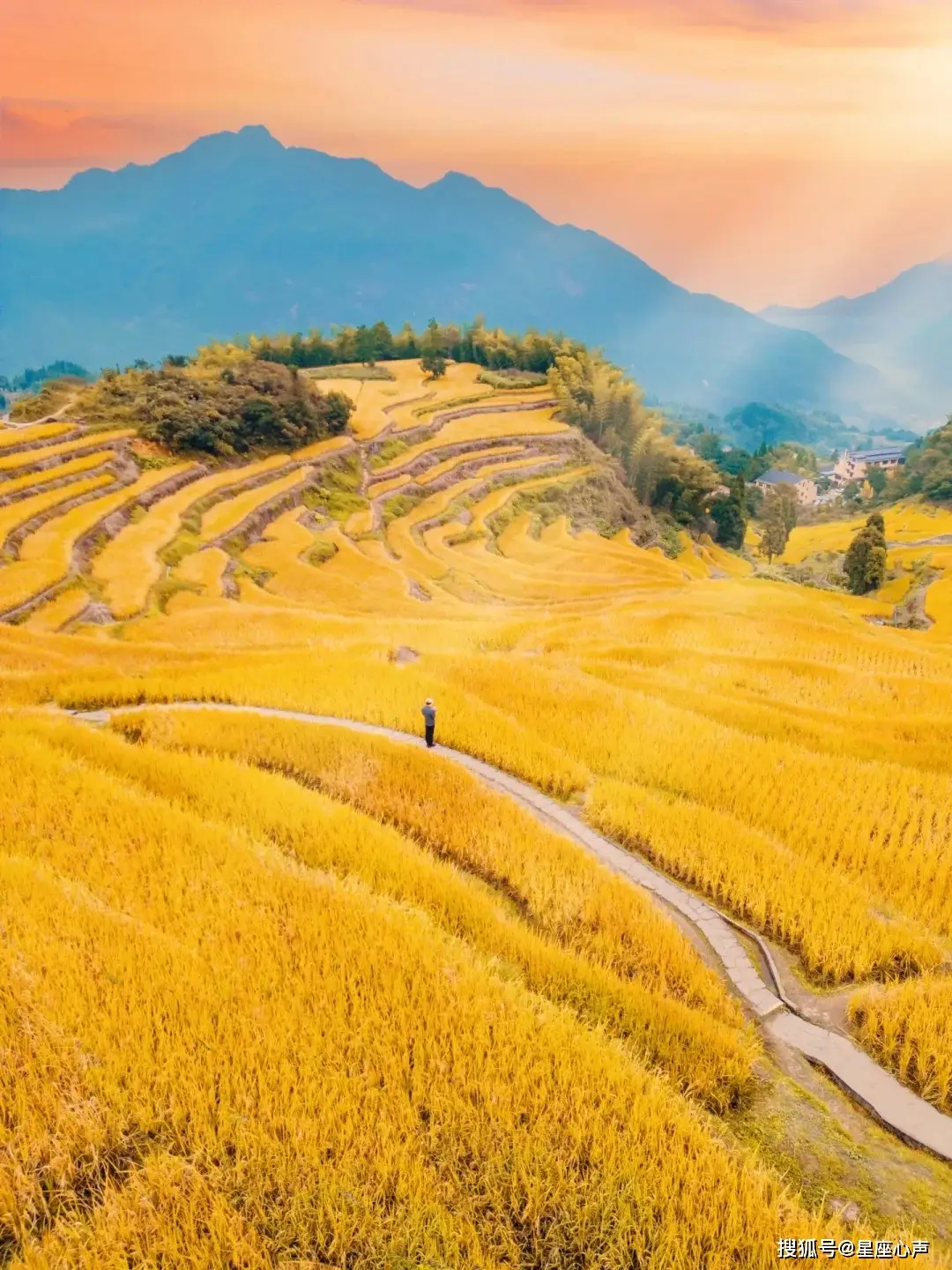 桌游自制_ffg 桌游_桌游排行榜