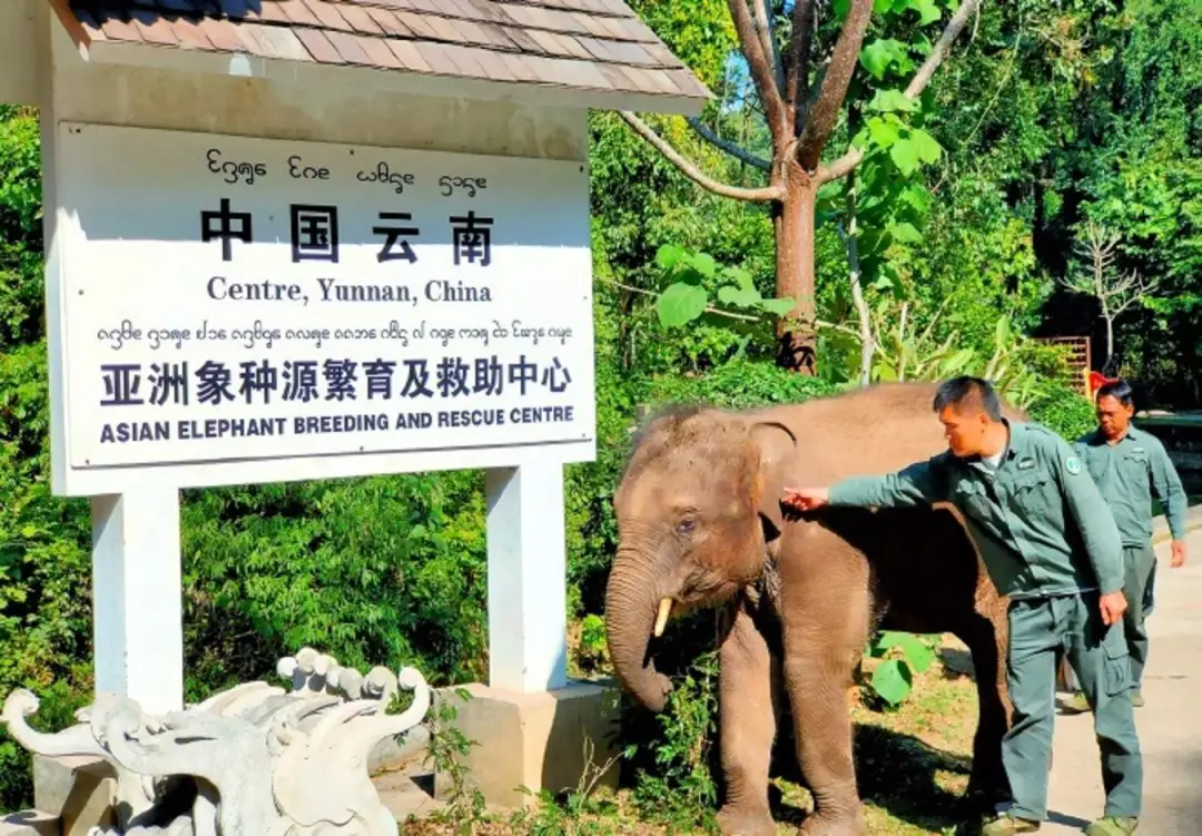天游云游戏平台_云游天游戏_天之云游戏