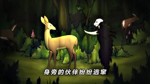 动漫死神完结了吗_死神完结篇动画_死神完结动漫在线观看
