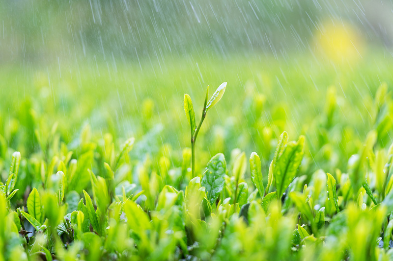 爱普生打印机清零软件中文_爱普生打印机清零软件中文_爱普生打印机清零软件中文