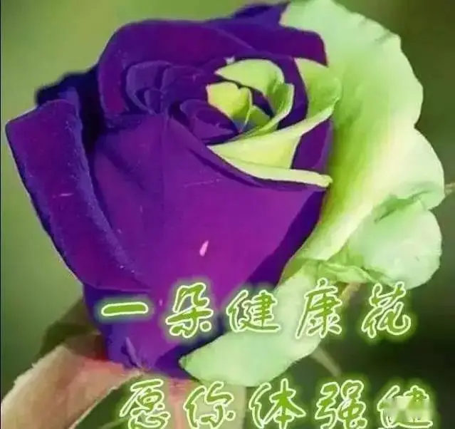 深圳苏摩科技_苏摩科技游戏公司_苏摩游戏官网