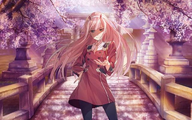 资格动画等级职业师设计证书_资格动画等级职业师设计考什么_动画设计师职业资格及等级