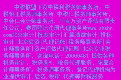 税务审计软件n6_税务审计软件N9_税务审计的软件