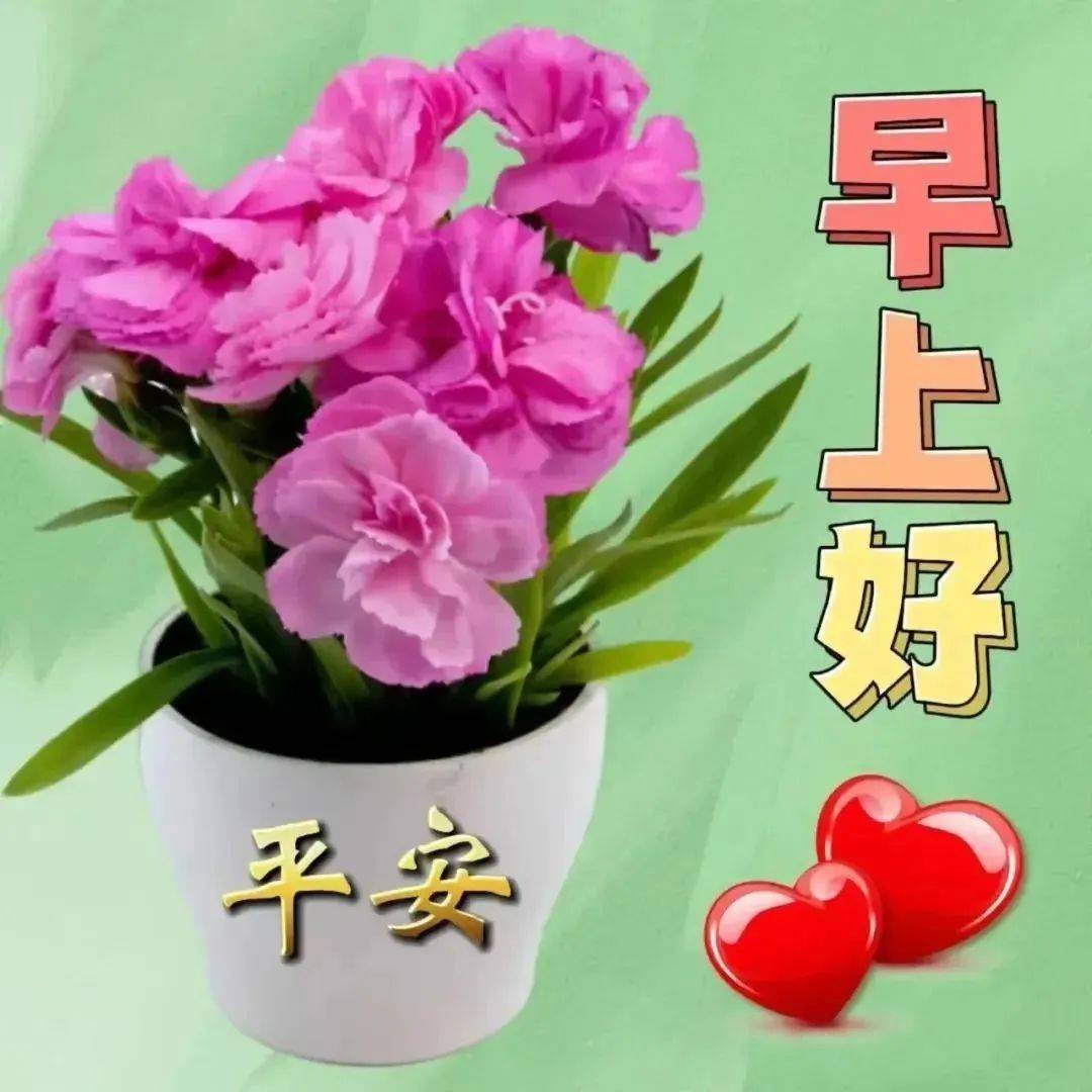 风声桌游+教学视频_风声桌游app下载_风声桌游规则视频