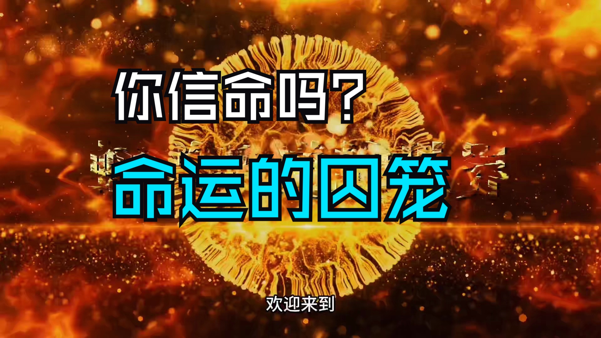 南方排八字软件_南方八字排盘软件下载_南方八字算命软件