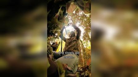 手机病毒防护软件_手机防病毒软件哪个好_eset 手机版防病毒软件