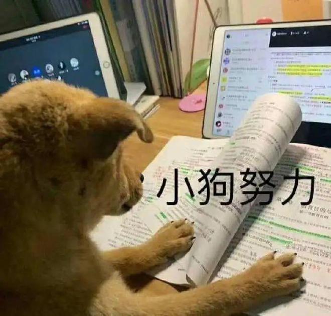 制作软件ppt_软件专业做京东售后怎么样_专业做ppt的软件