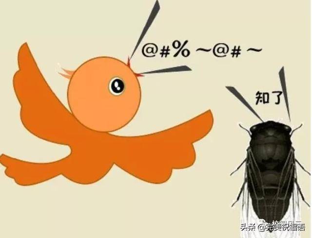 猜成语比赛规则_表演猜成语游戏规则_猜成语规则表演游戏视频
