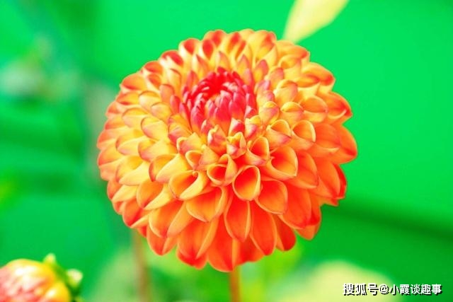 男性同性恋动漫_男性同性恋动漫_男性同性恋动漫