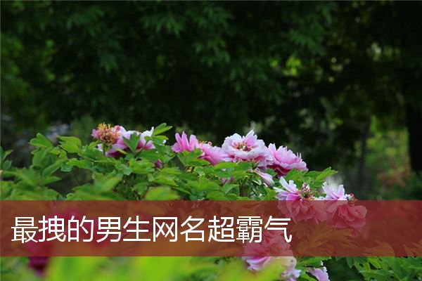 好听的游戏网名男生_好听网名男生游戏名字_超好听的游戏名男生