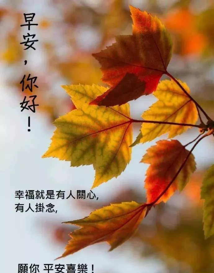 风软件库_原宿风软件_风软件软件站