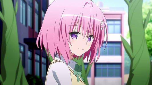 卖肉后宫动漫_卖肉后宫动漫_卖肉后宫动漫