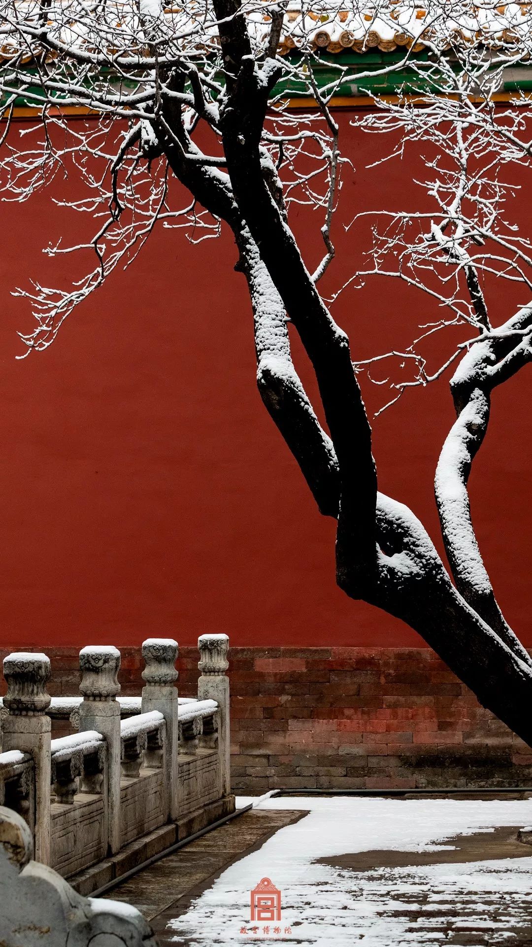 北国风光千里冰封万里雪飘 动画-冰雪北国风光：少年梦想将其变