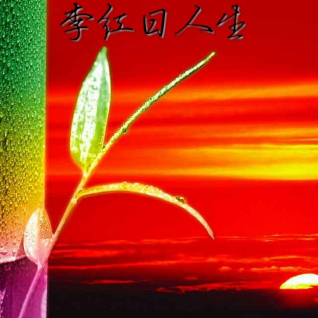 微信头像蔷薇花动漫版_蔷薇头像图片_微信头像蔷薇花图片大全