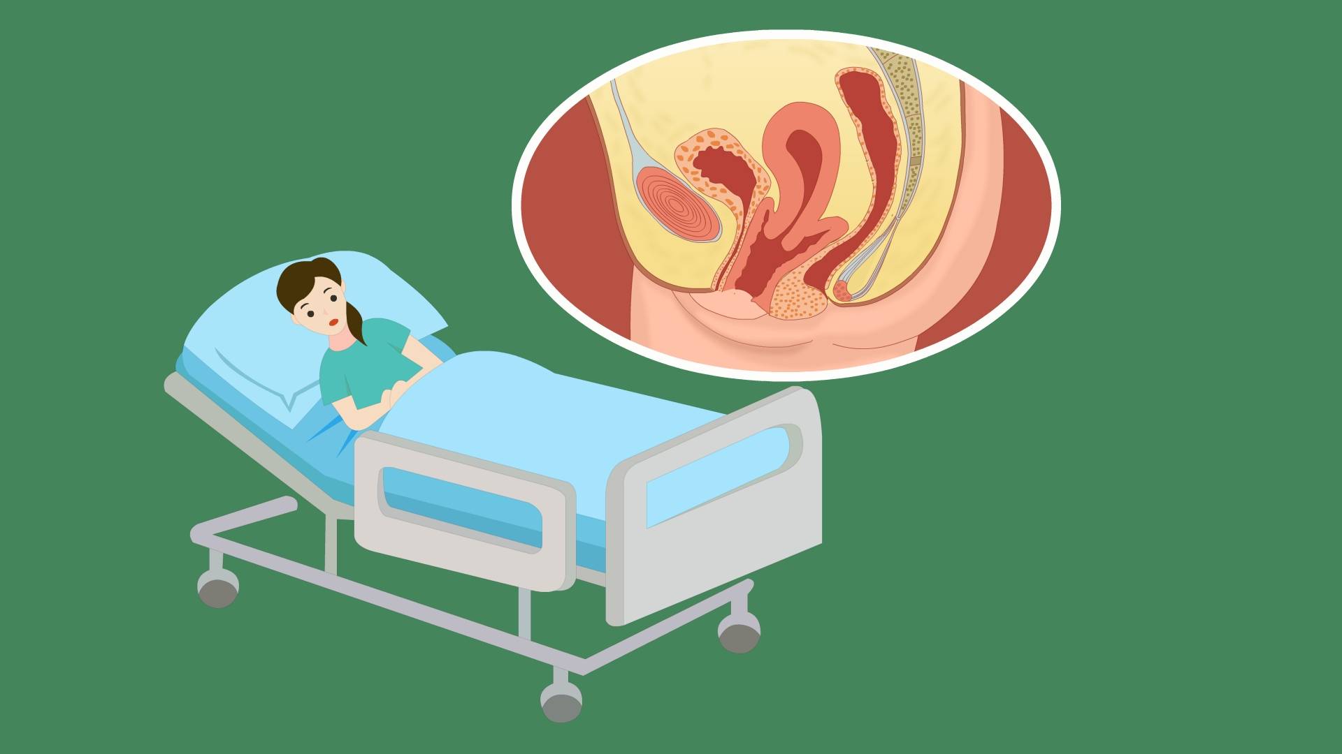 动漫女生小便失禁视频_动漫女生小便失禁视频_动漫女生小便失禁视频