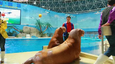 被触手缠绕的动画美女_缠绕动画触手美女视频_缠绕动画触手美女图