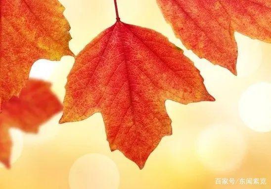 10人杀人游戏角色分配_10人杀人游戏角色分配_10人杀人游戏角色分配