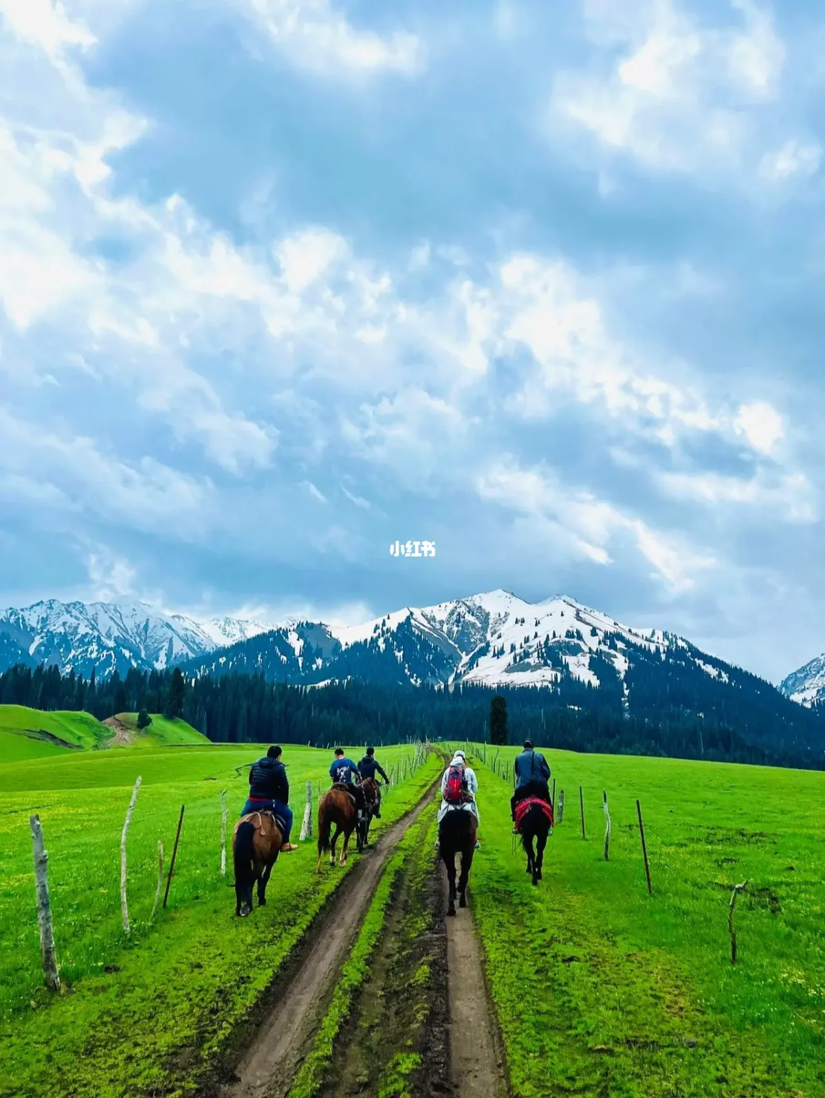 上海旅游网站大全_上海亿网游旅行网_上海在线旅游