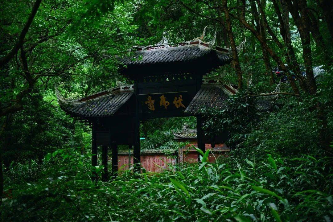 创界山游戏规则_创界山boss_创界山 桌游