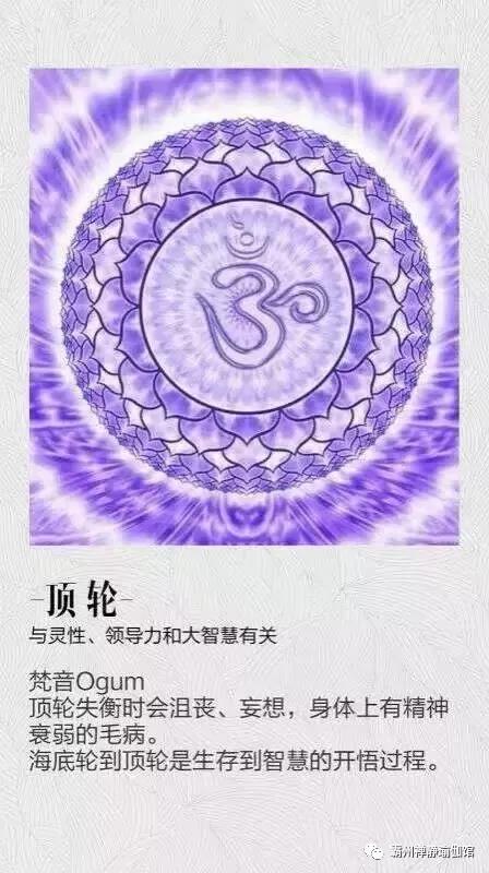 桌游志-桌游：不仅仅是娱乐，更是心灵碰撞与智慧较量的舞台