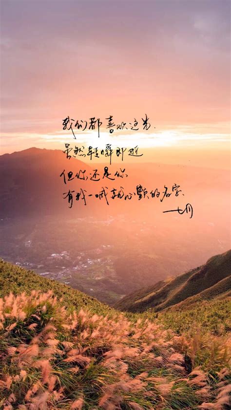 真实桌游_不在场证明桌游_桌游证书