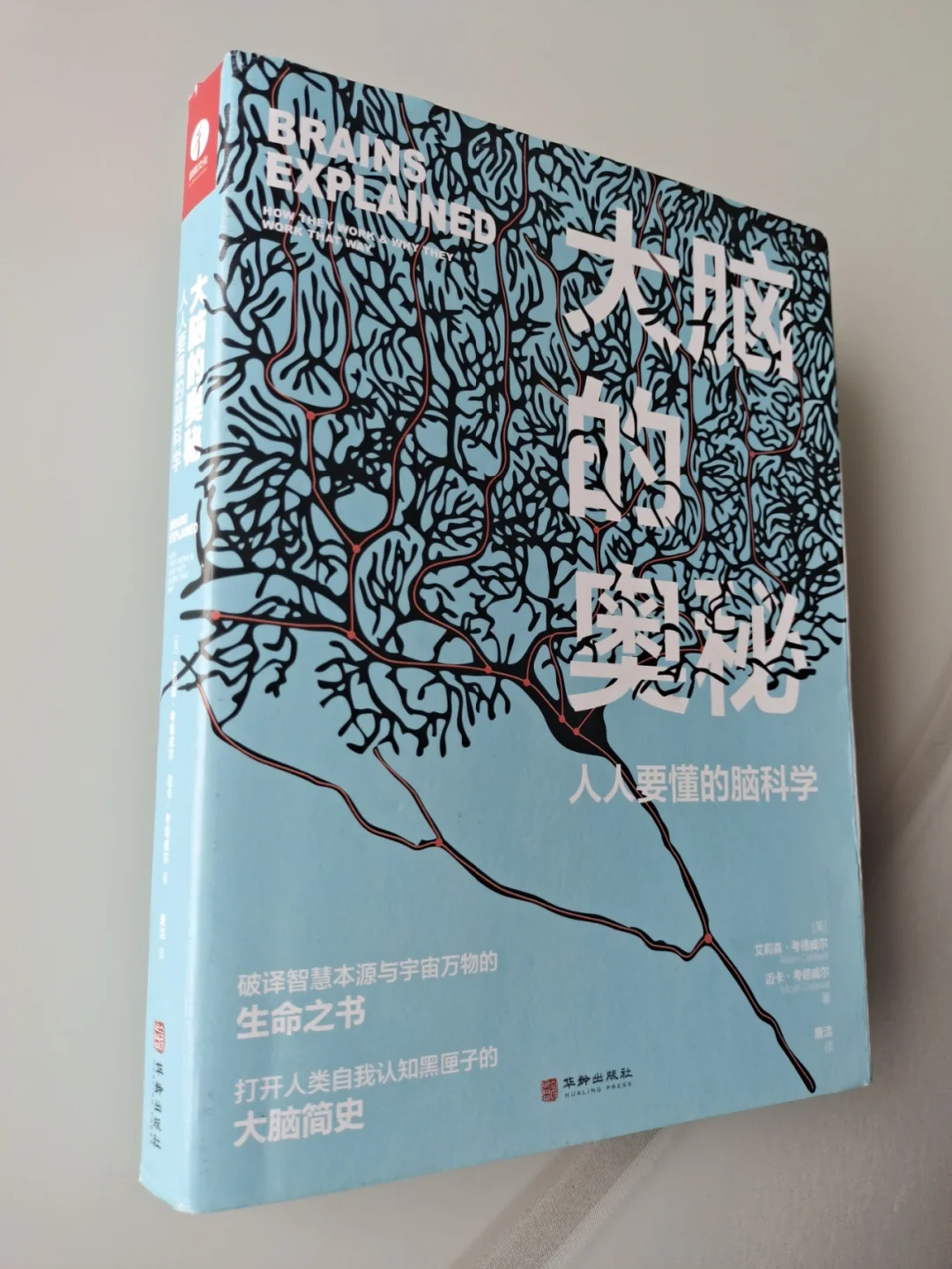 填料式补偿器工作视频_填料式补偿器动画_填料式补偿器工作原理视频