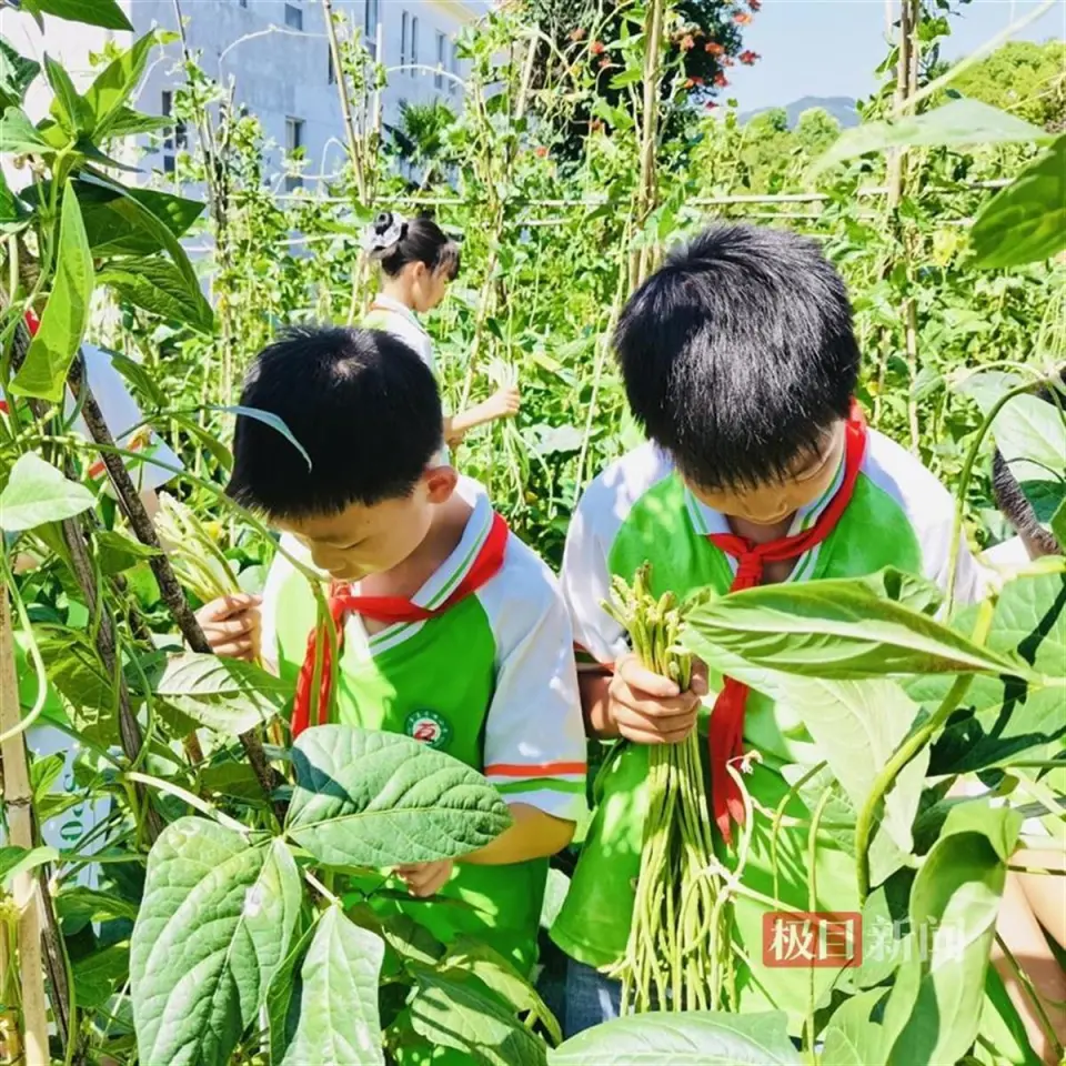 教学软件系统采购前要做什么_教学系统软件_教学软件系统的技术基础