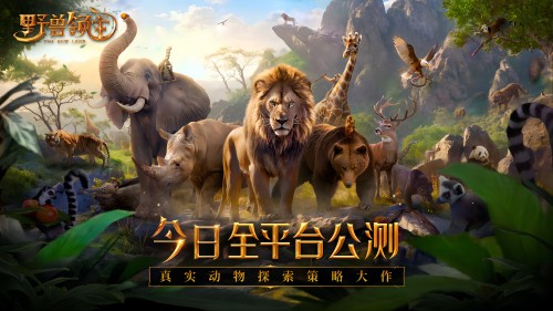 玩法小游戏_游戏玩法图_玩法设计
