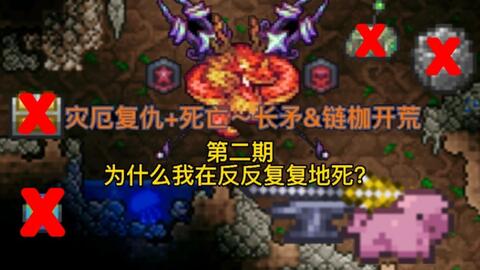 泰拉瑞亚灾厄攻略,全面解析灾厄模组与BOSS挑战