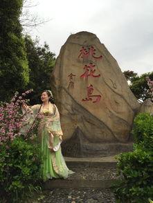 桃花岛影视,桃花岛影视——你的私人影视宝库