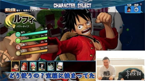 海贼无双4传说的2人白屏怎么回事,原因分析