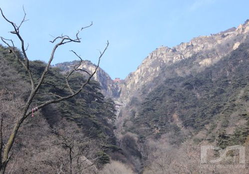 泰山下面压的谁