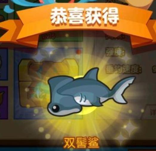 疯狂骑士团钓鱼,探索神秘水域，捕获珍稀鱼类
