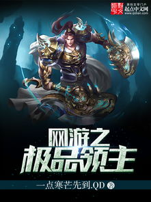 网游领主小说,虚拟世界的领主之路